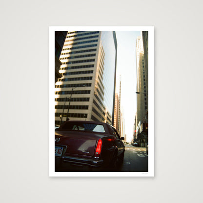 Rufus in The Loop - Chicago, IL — 70×100cm, 28×39" Print only