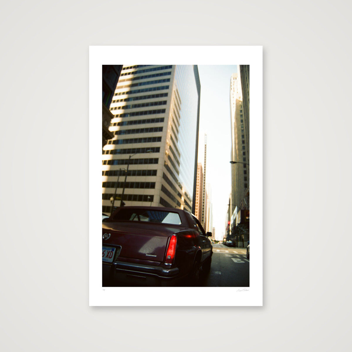 Rufus in The Loop - Chicago, IL — 30×45cm, 12×18" Print only