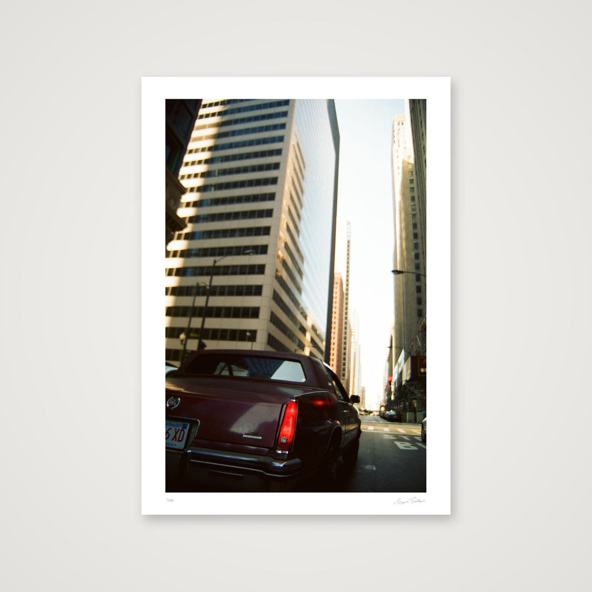 Rufus in The Loop - Chicago, IL — A4 (21×30cm, 8×12") Print only
