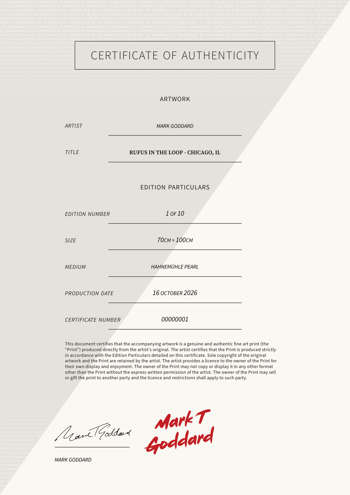 Rufus in The Loop - Chicago, IL — Certificate of Authenticity