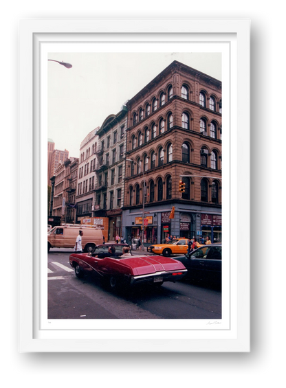 Skylark - Manhattan, NY — framed