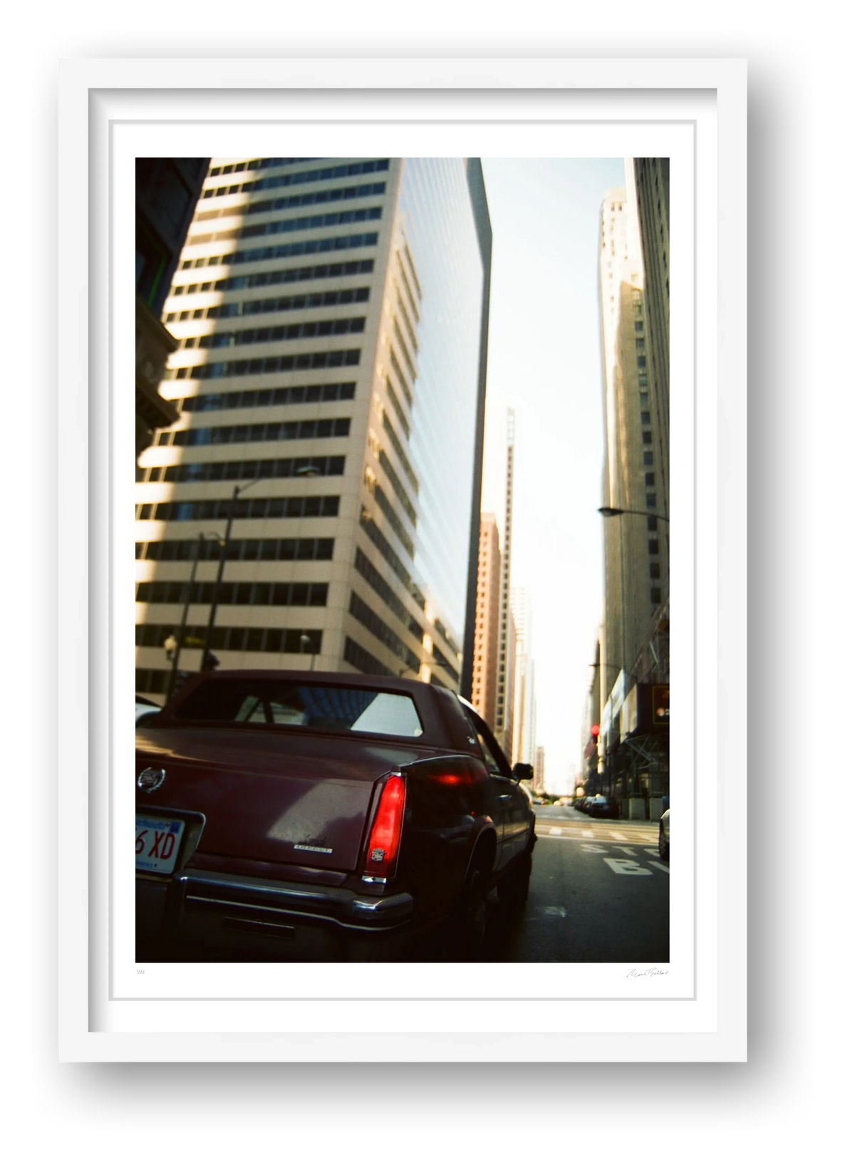 Rufus in The Loop - Chicago, IL — framed