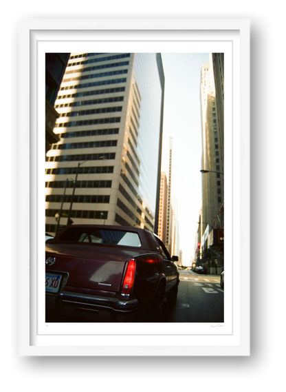 Rufus in The Loop - Chicago, IL — framed